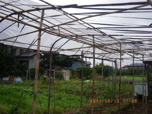 補強を終えた屋根