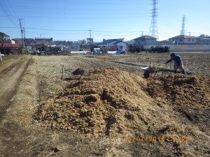 田んぼに馬糞堆肥散布
