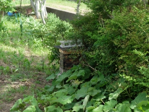 日本蜜蜂の巣箱