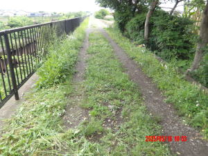 鳩川沿いの通路