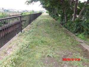 除草後の通路