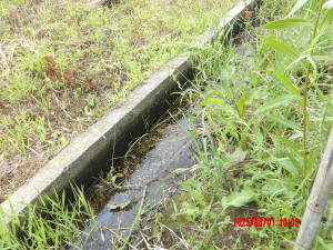 田んぼの小屋南側の水路
