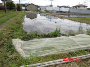 代搔き前の田んぼ